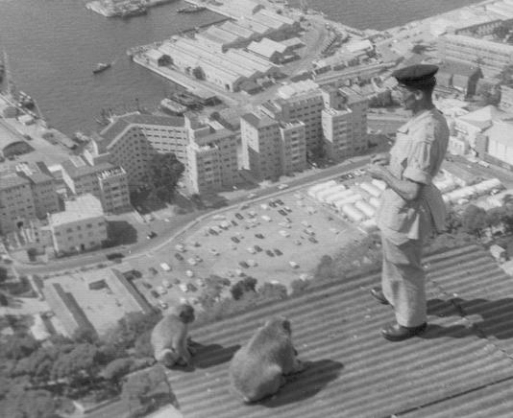 Alfred_Holmes_with_Barbary_Macaques
